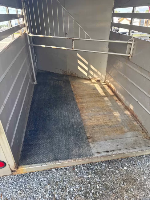 WW HT1 (Horse) rental photo 4