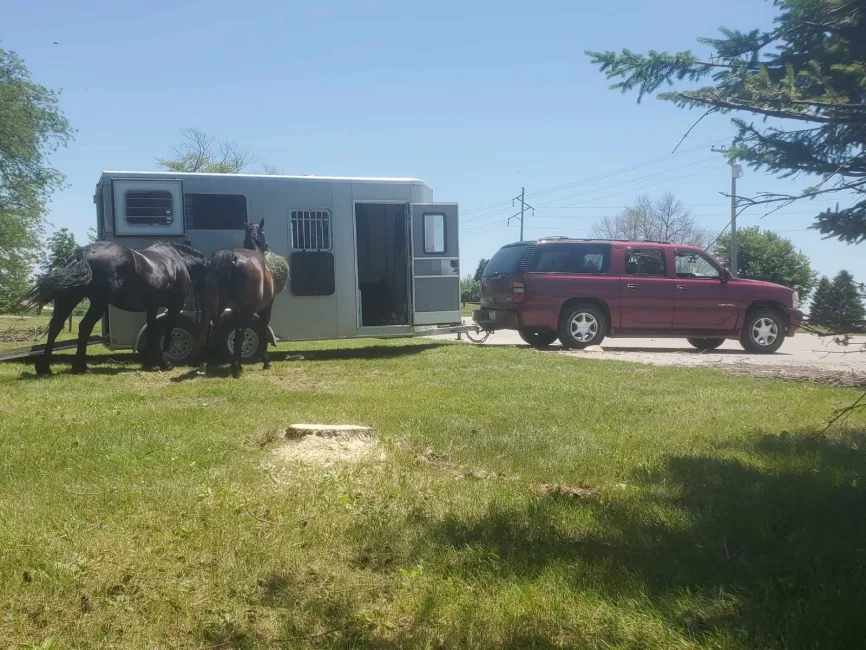 Kiefer Horse Trailer (Horse) rental photo