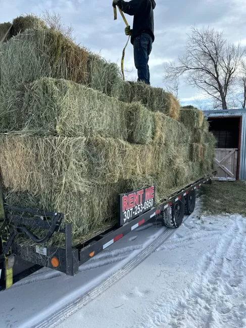 Work N Play Transports & Rentals — rental photo 1