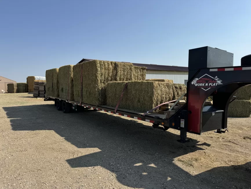 Work N Play Transports & Rentals — rental photo 2