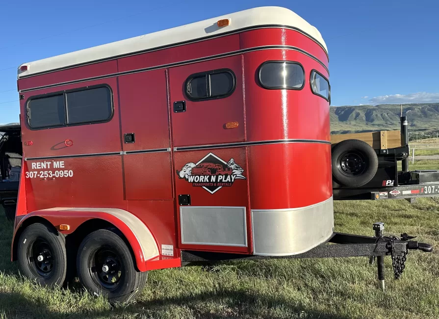 Circle J 2S12 (Horse)