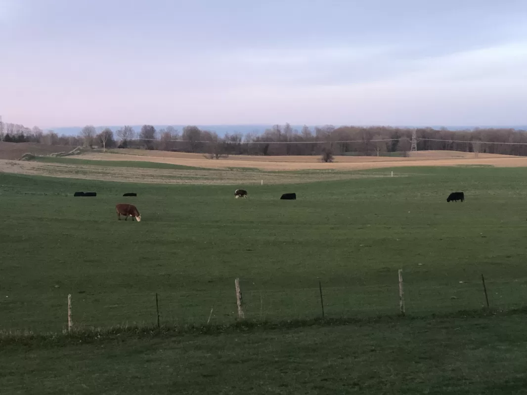 About Fieldview Rentals LLC