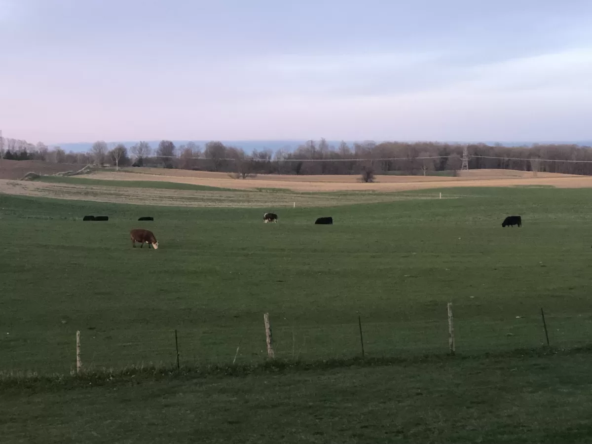 About Fieldview Rentals LLC