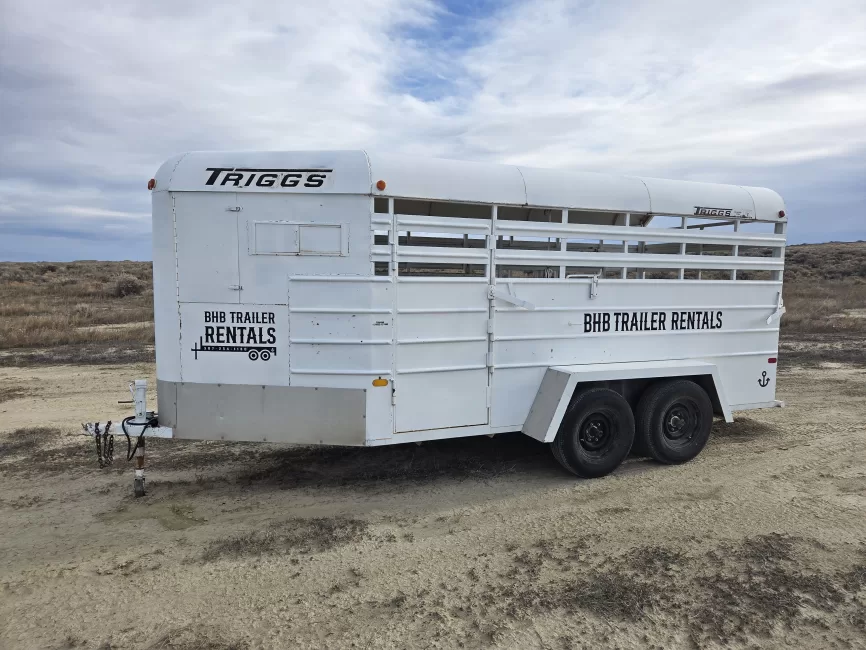Triggs 4 Horse (Horse) rental from BHB Trailer Rentals