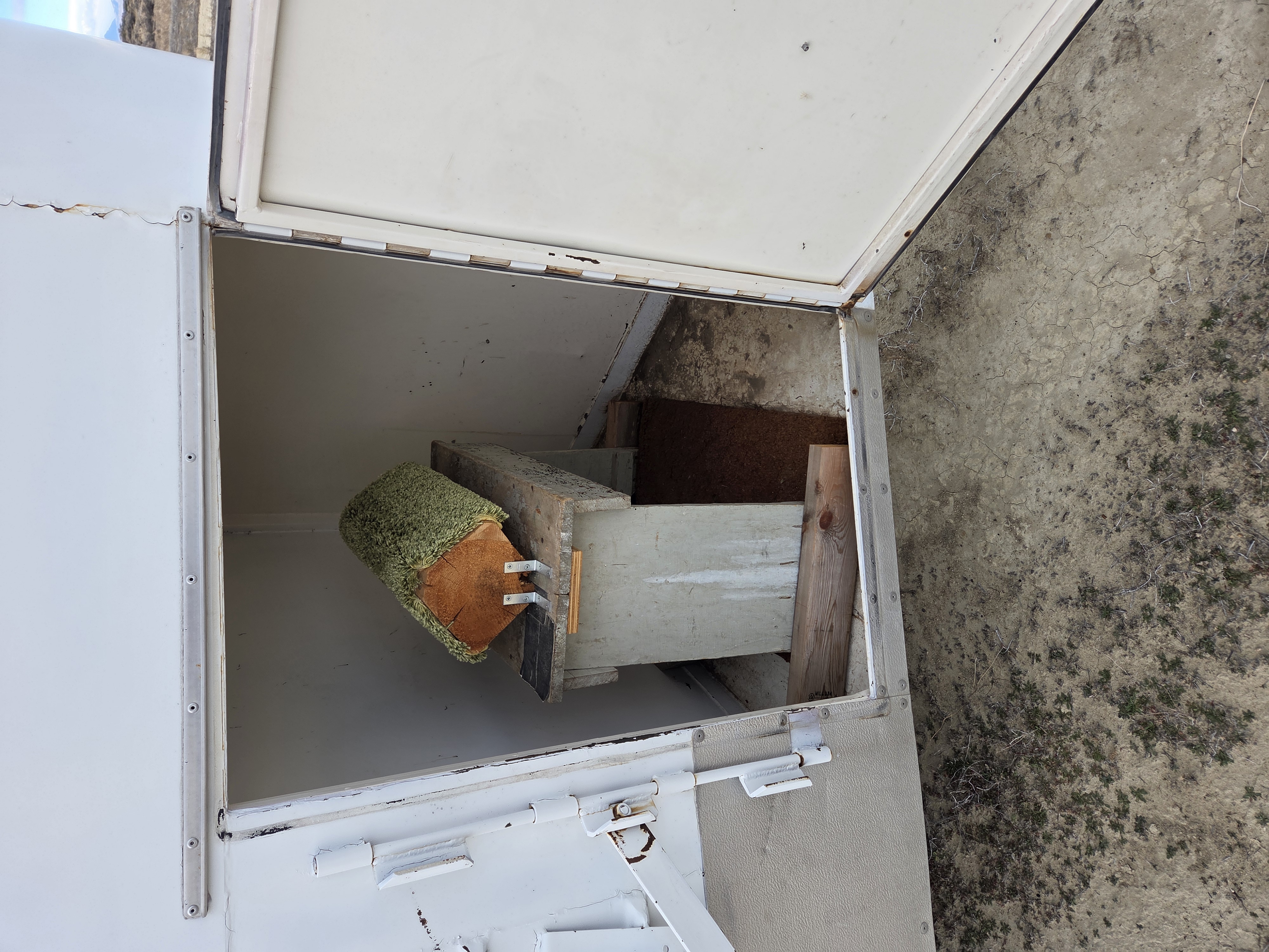 Triggs 4 Horse (Horse)