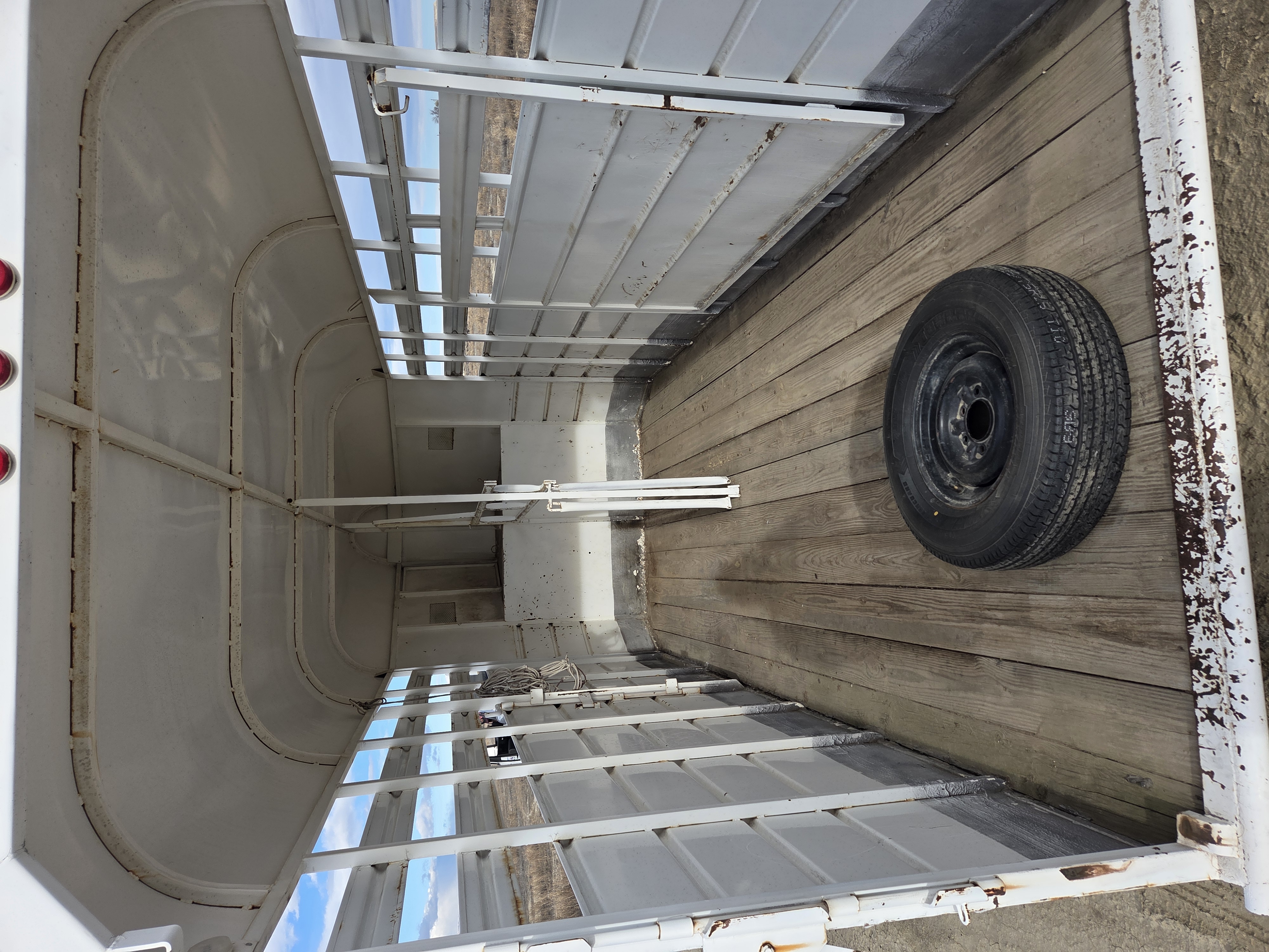 Triggs 4 Horse (Horse)